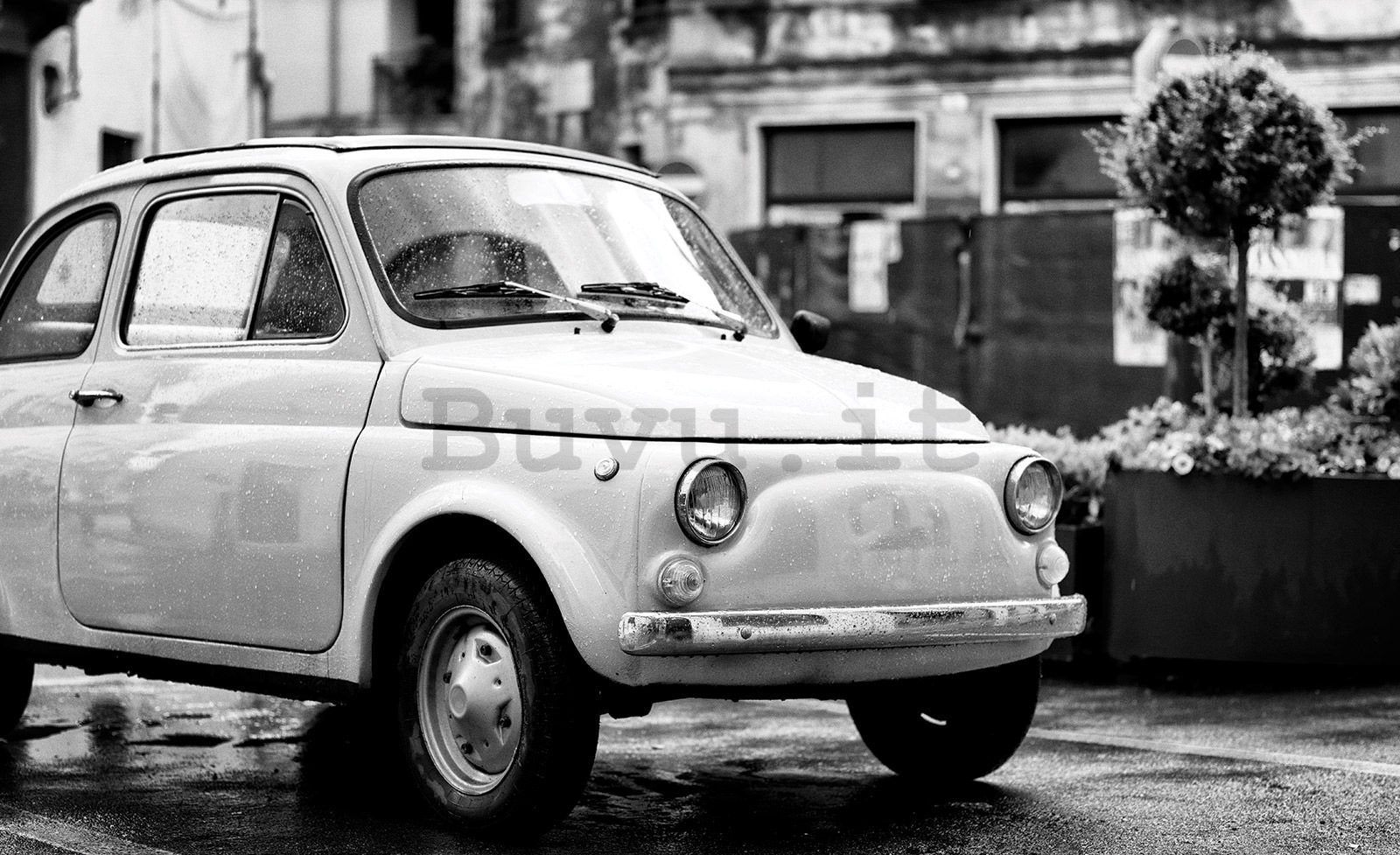 Fotomurale in TNT: Fiat 500 - 416x254 cm