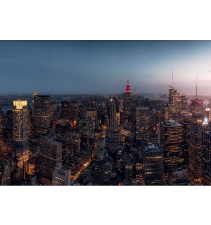 Fotomurale: Serata New York - 368x254 cm