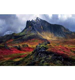 Fotomurale: Islanda (Snafellsnes) - 368x254 cm