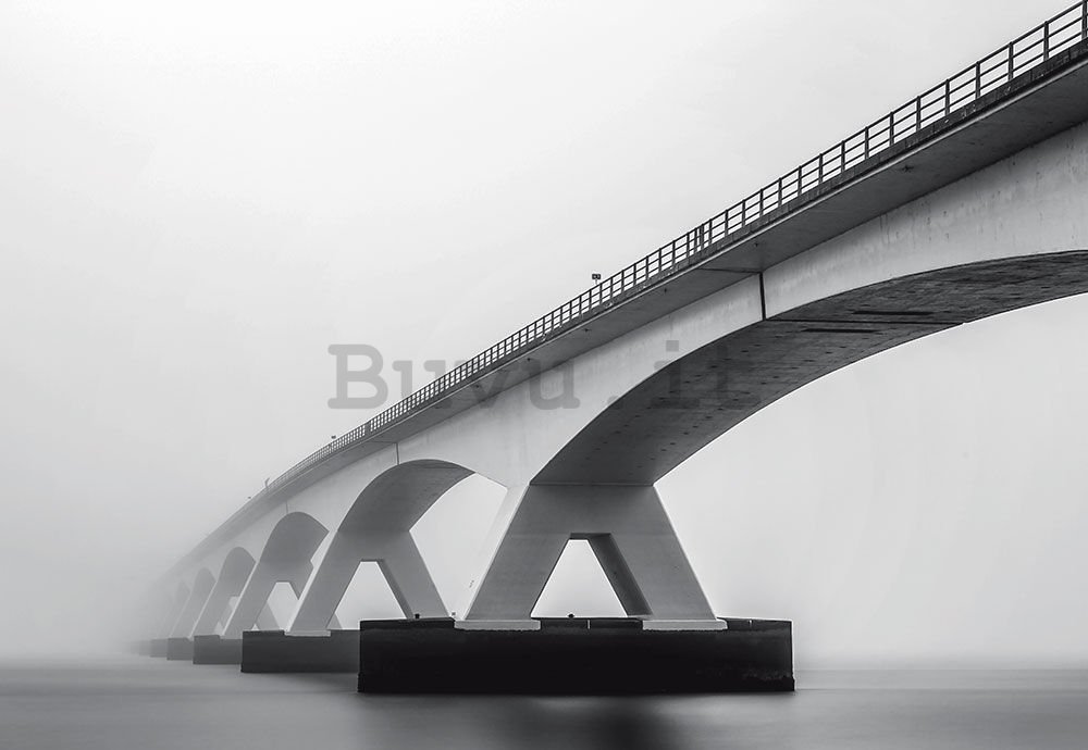 Fotomurale: Bridge (sfumature di grigio) - 368x254 cm