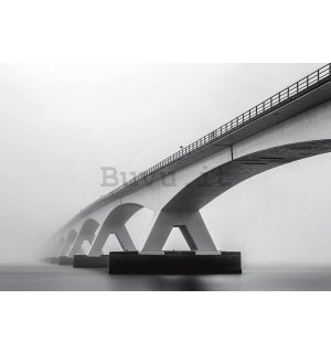 Fotomurale: Bridge (sfumature di grigio) - 368x254 cm