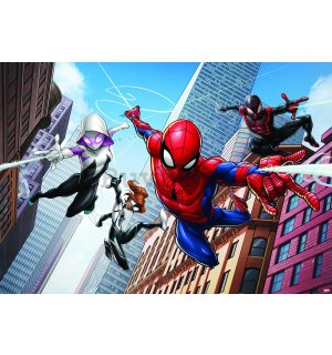 Fotomurale in TNT: Spiderman (6) - 152,5x104 cm