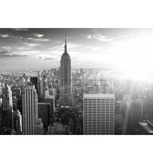 Fotomurale in TNT: Manhattan (bianco e nero) - 300x210 cm