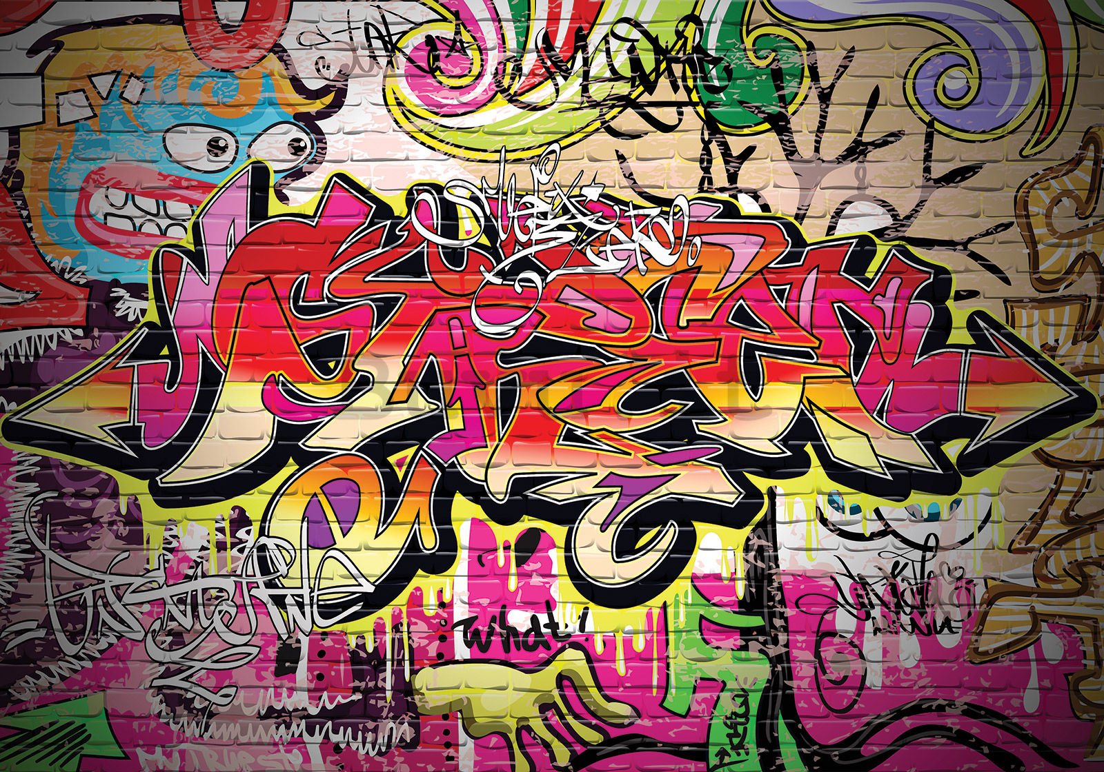 Fotomurale in TNT: Graffiti (1) - 300x210 cm