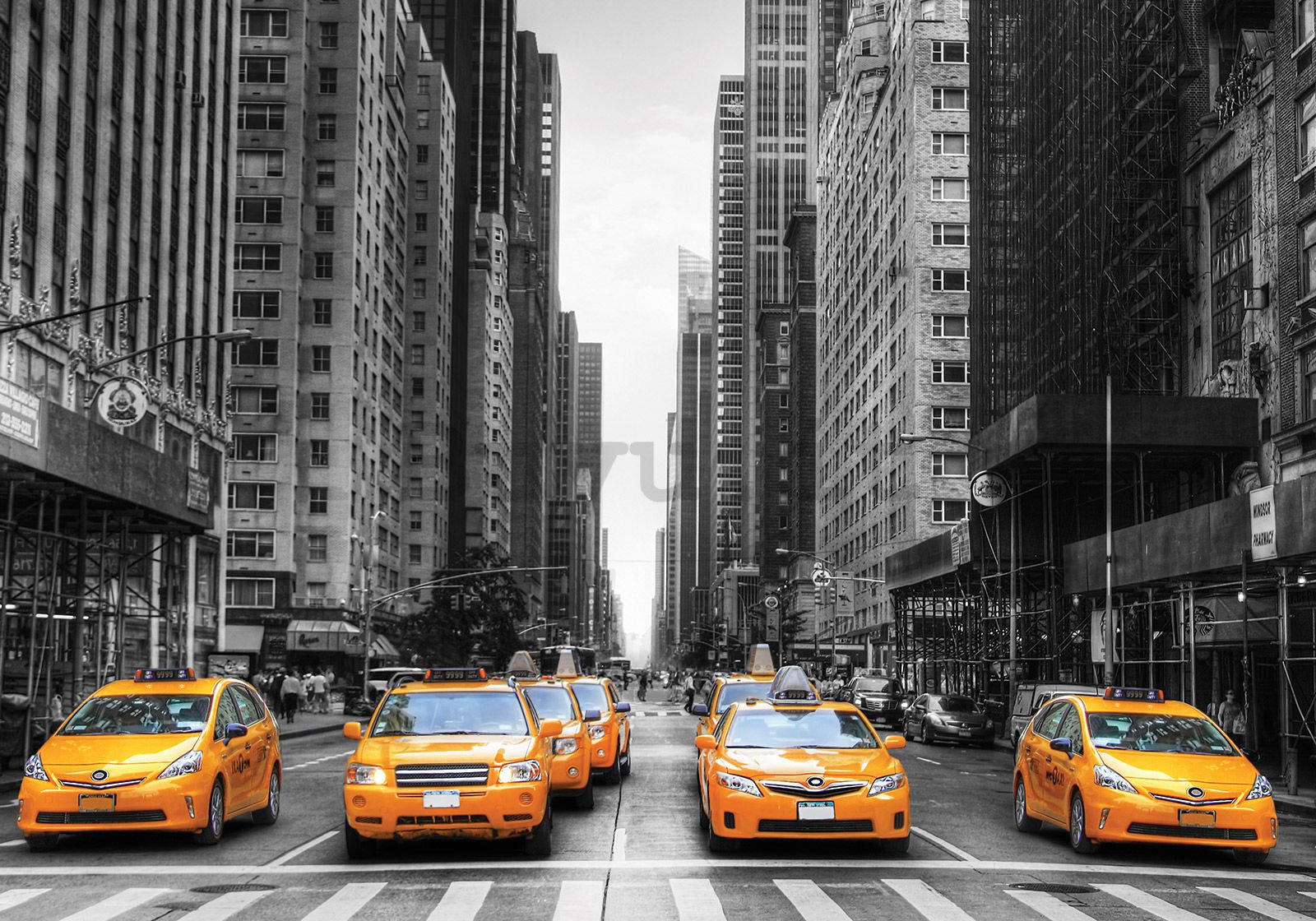 Fotomurale in TNT: Taxi di New York - 350x245 cm