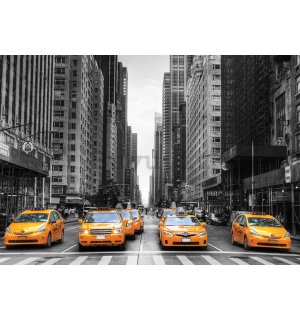 Fotomurale in TNT: Taxi di New York - 350x245 cm