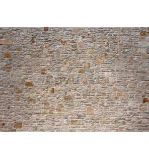 Fotomurale in TNT: Muro di pietra (1) - 400x280 cm