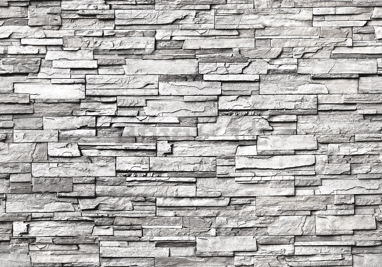 Fotomurale in TNT: Muro di pietra (grigio) - 400x280 cm