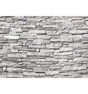 Fotomurale in TNT: Muro di pietra (grigio) - 400x280 cm