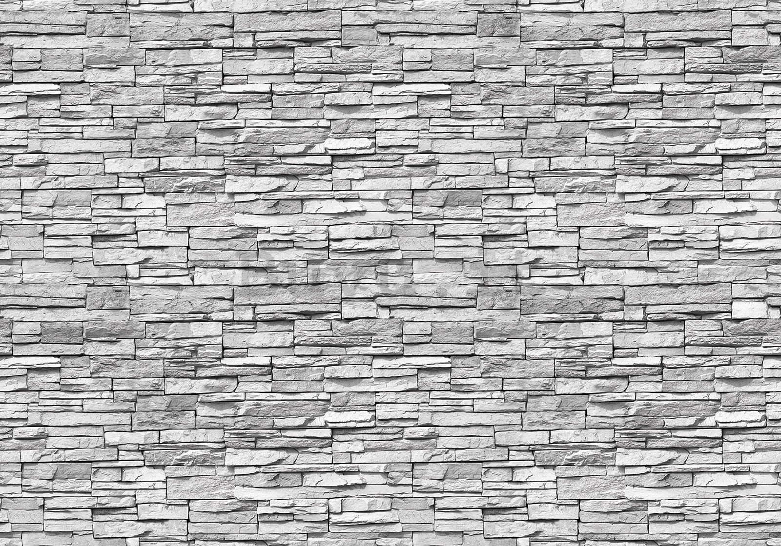 Fotomurale in TNT: Muro di pietra (4) - 400x280 cm