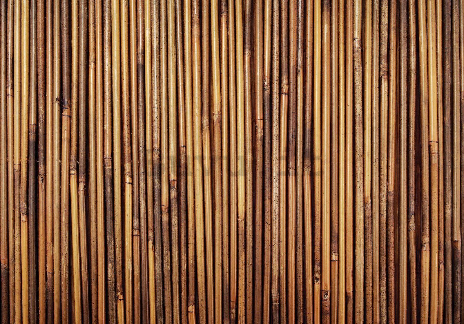 Fotomurale in TNT: Rivestimento in bambu - 400x280 cm