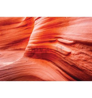 Fotomurale in TNT: Wave Rock Arizona - 400x280 cm