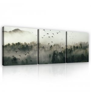 Quadro su tela: La foresta nebbiosa - set 3pz 25x25cm