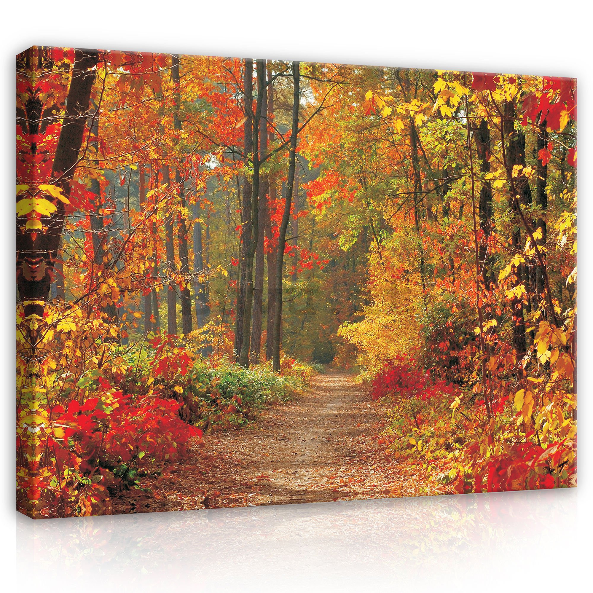 Quadro su tela: Bosco in autunno - 80x60 cm
