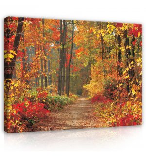 Quadro su tela: Bosco in autunno - 80x60 cm