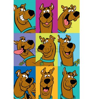 Poster - Scooby Doo (The Many Faces Of Scooby Doo)