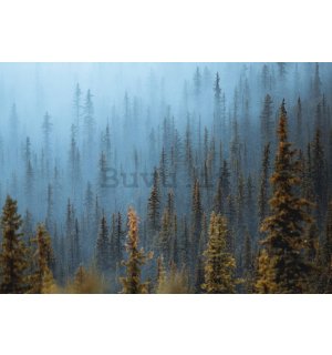 Fotomurale in TNT: Foresta di pini (1) - 254x184 cm