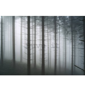 Fotomurale in TNT: Foresta infestata (1) - 254x184 cm