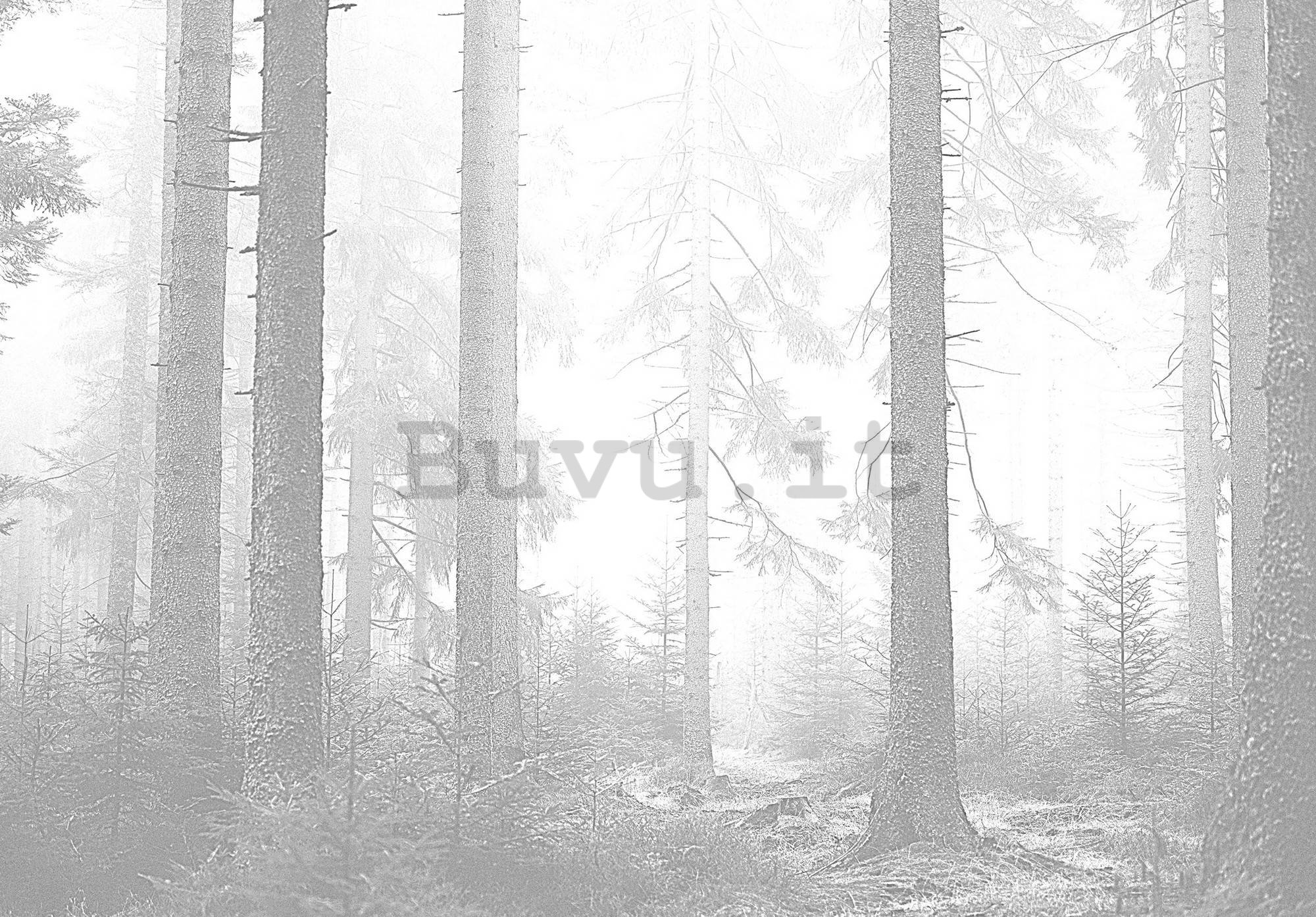 Fotomurale in TNT: Foresta bianca e nera (3) - 254x184 cm