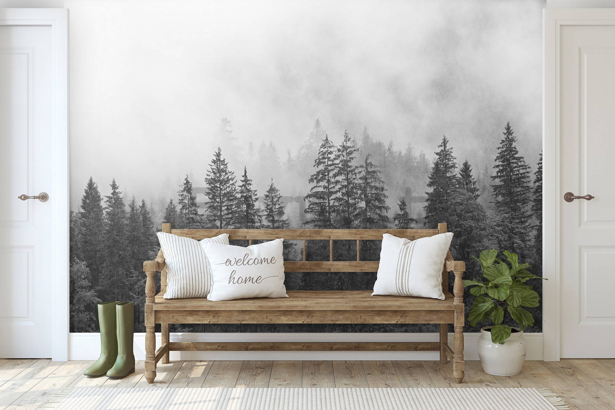 Fotomurale in TNT: Nebbia sopra la foresta bianca e nera - 254x184 cm
