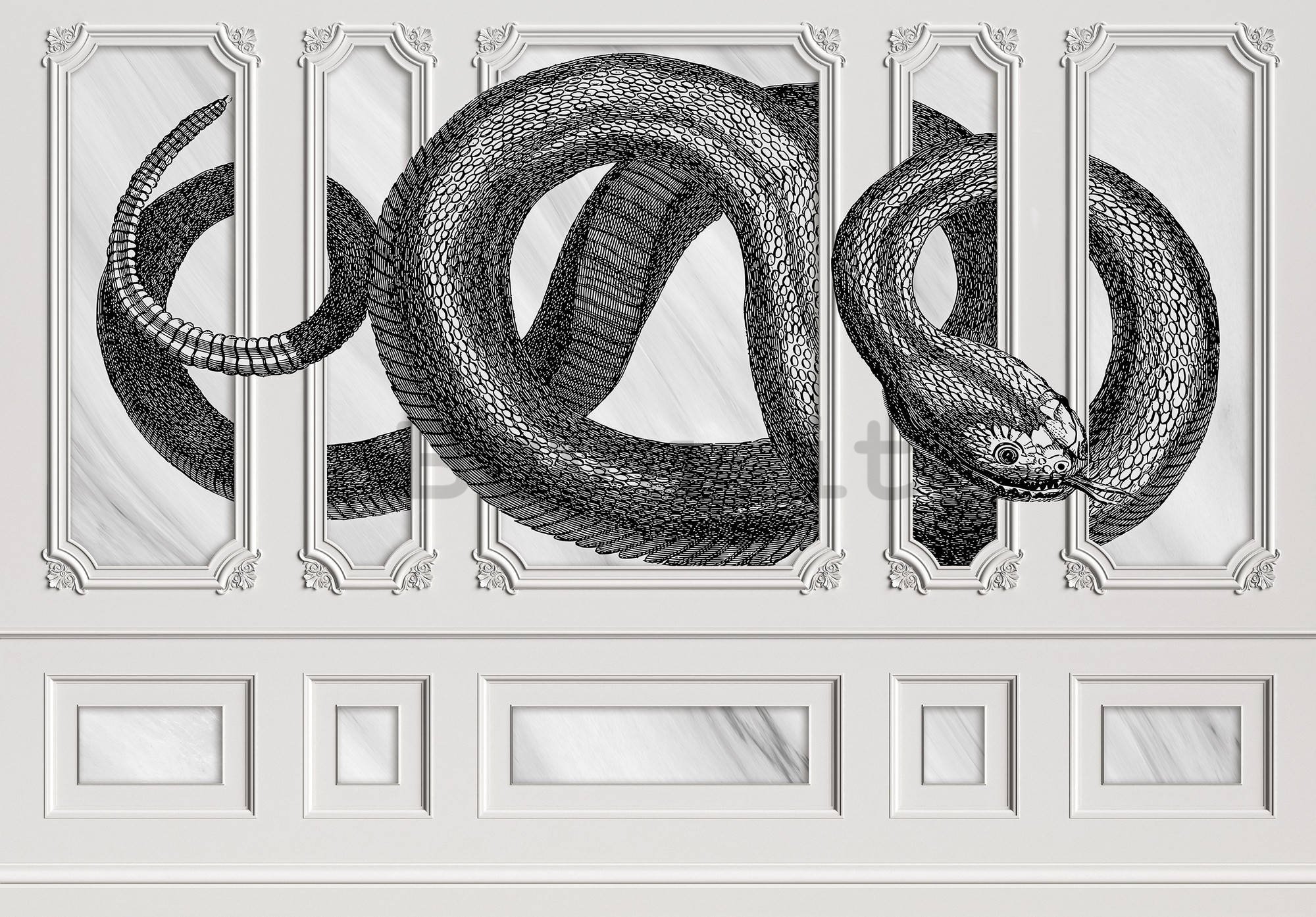 Fotomurale in TNT: Serpente decorazione - 254x184 cm