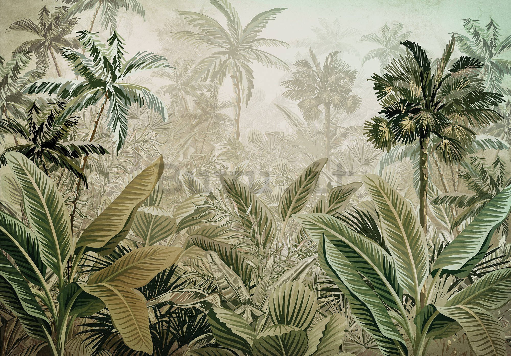 Fotomurale in TNT: Vegetazione tropicale - 254x184 cm