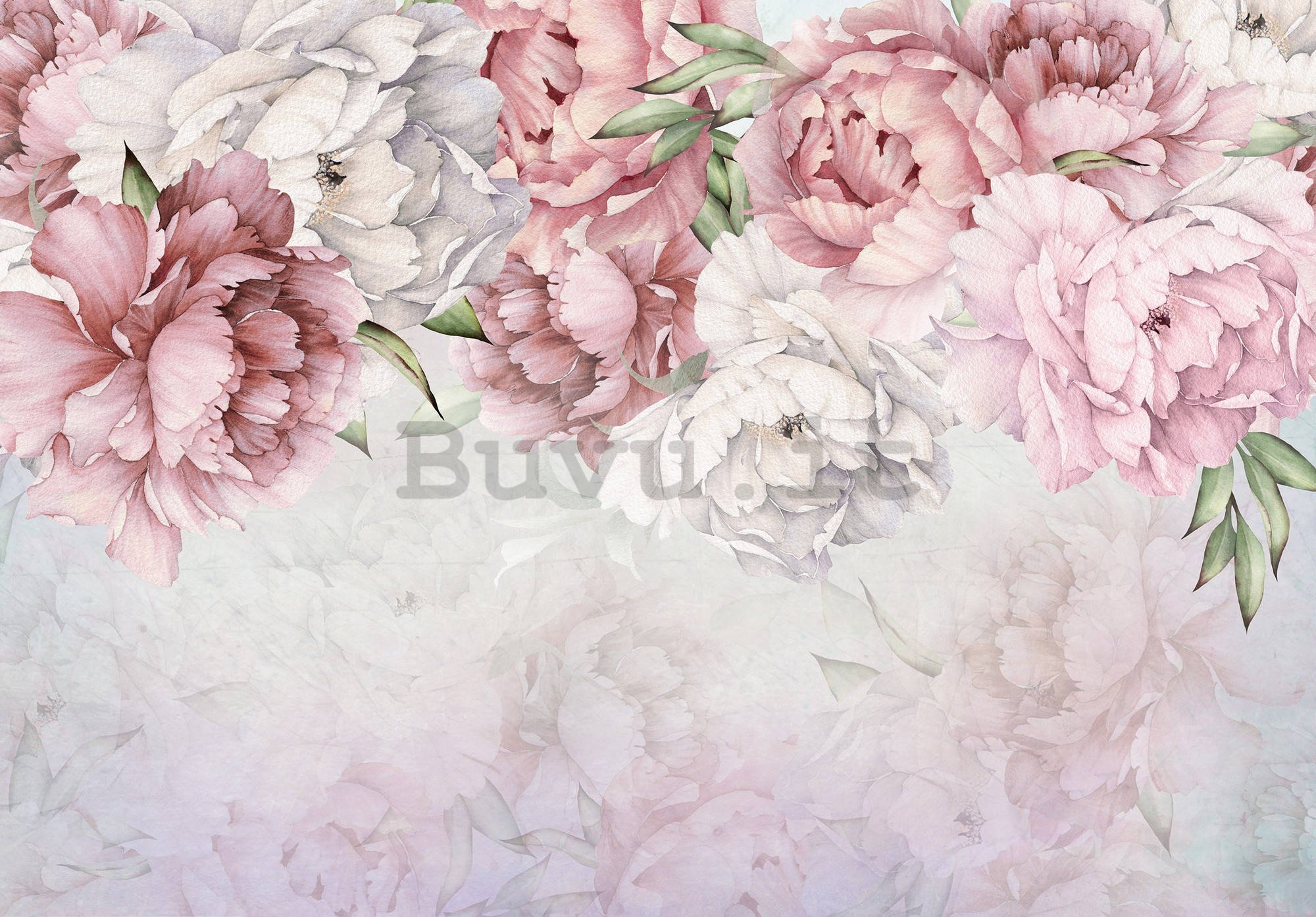 Fotomurale in TNT: Rose bianche e rosa - 368x254 cm