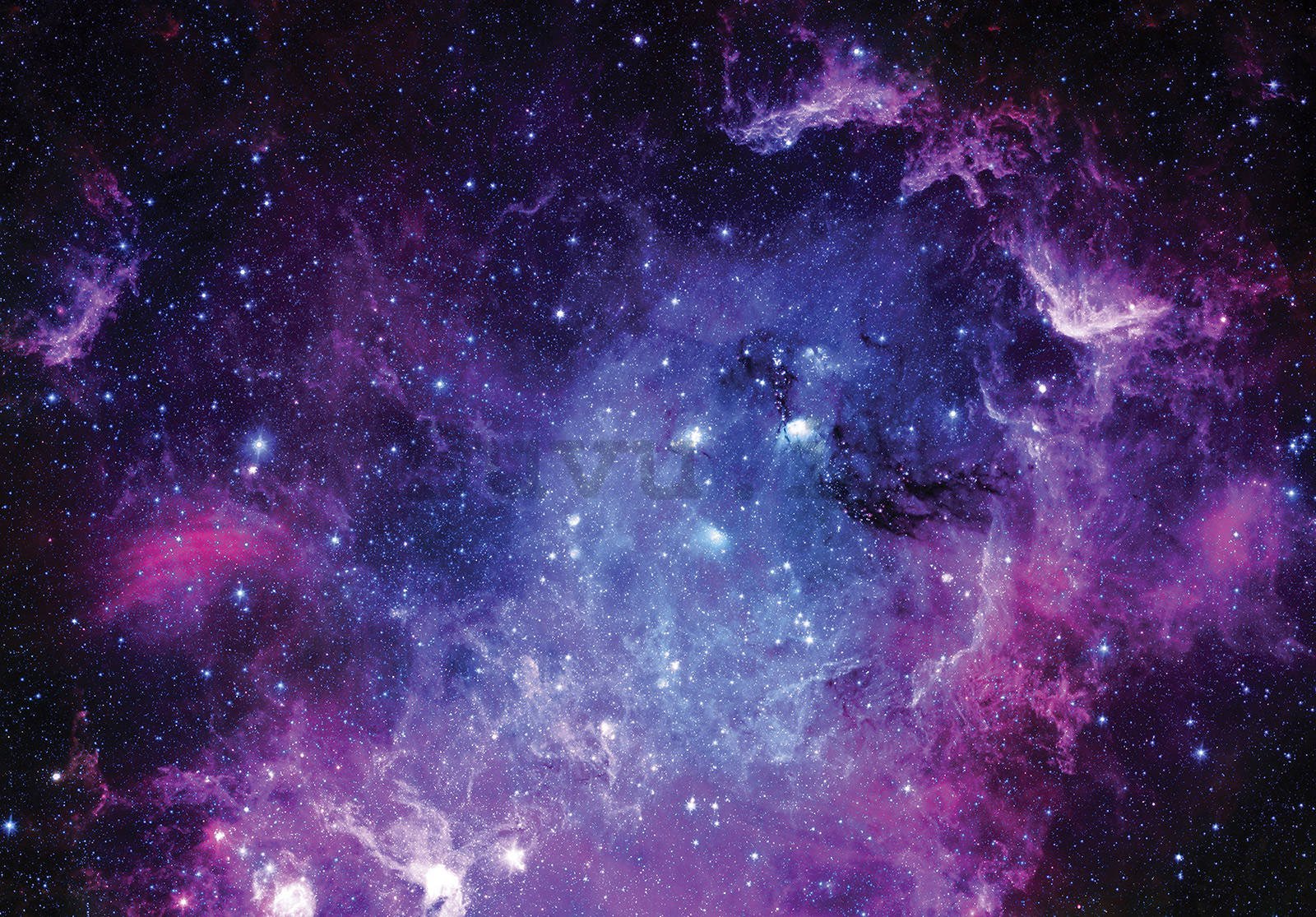 Fotomurale in TNT: Nebulosa viola (1) - 104x70,5 cm