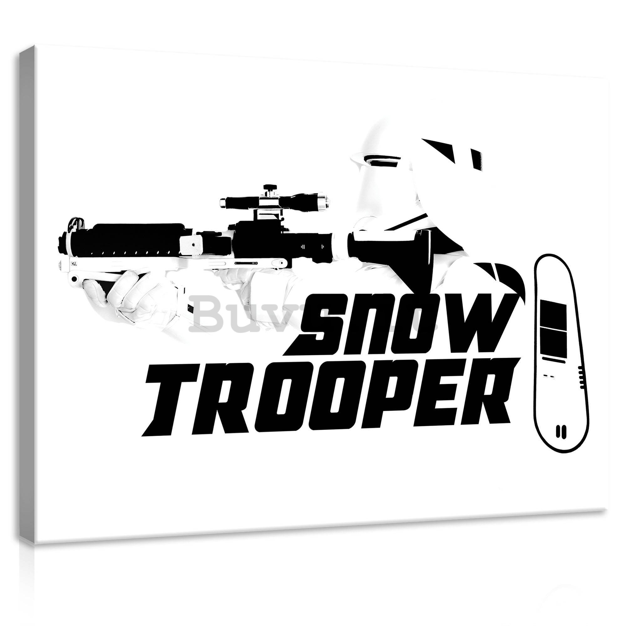 Quadro su tela: Star Wars Snow Trooper - 100x75 cm