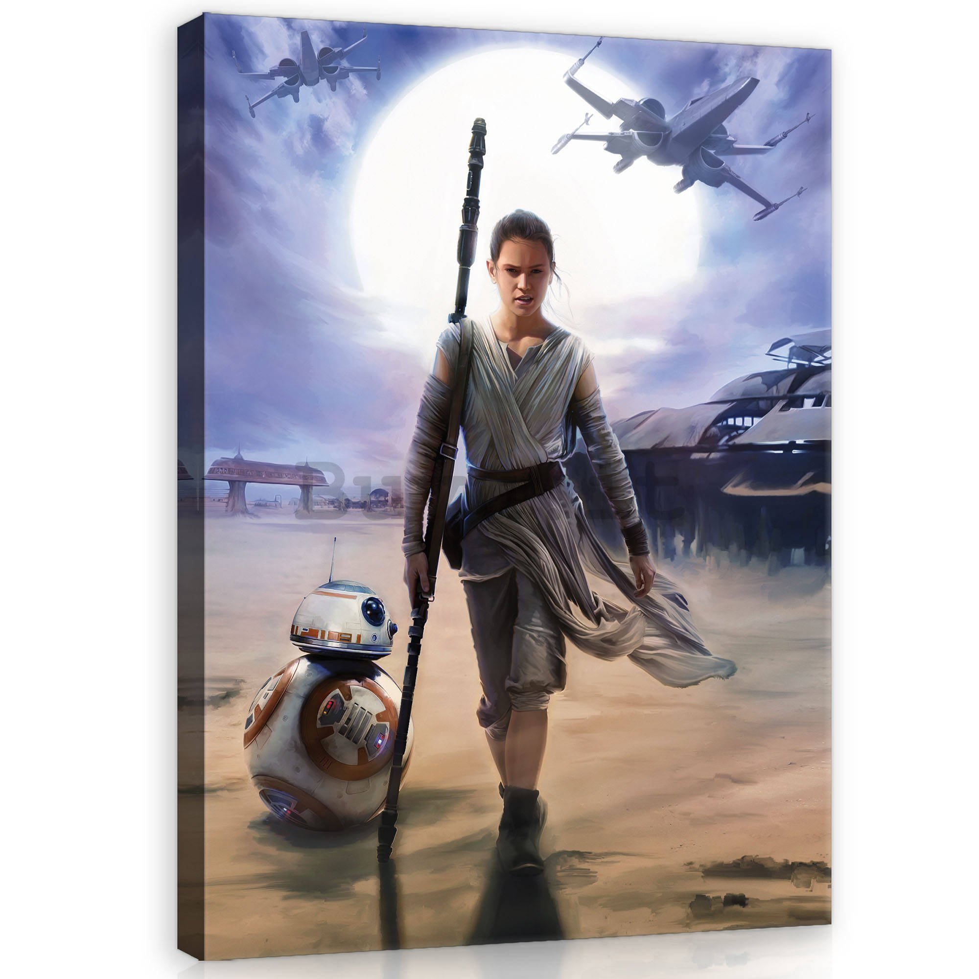 Quadro su tela: Star Wars Rey - 100x75 cm