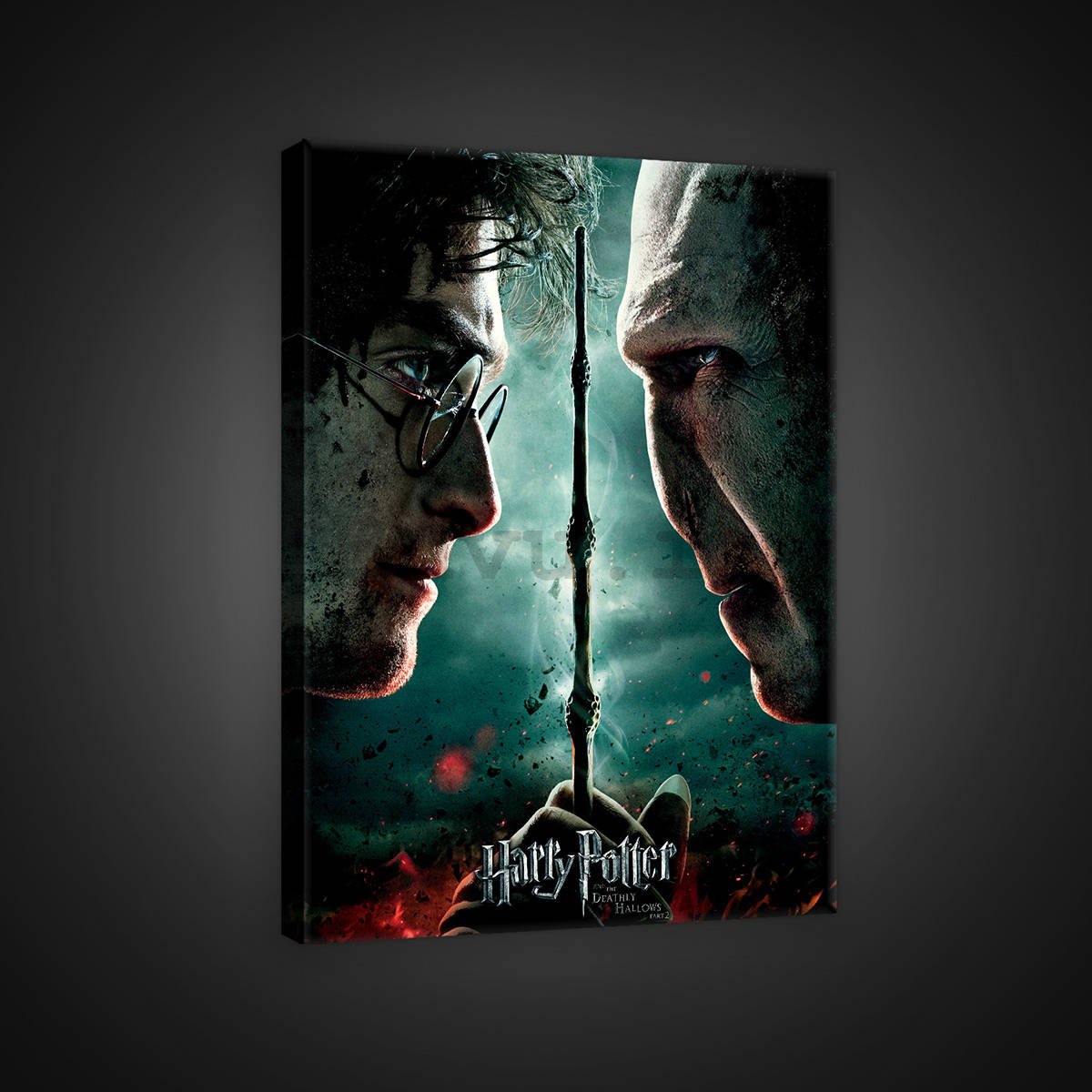 Quadro su tela: Harry Potter and Deathly Hallows Part 9 - 75x100 cm