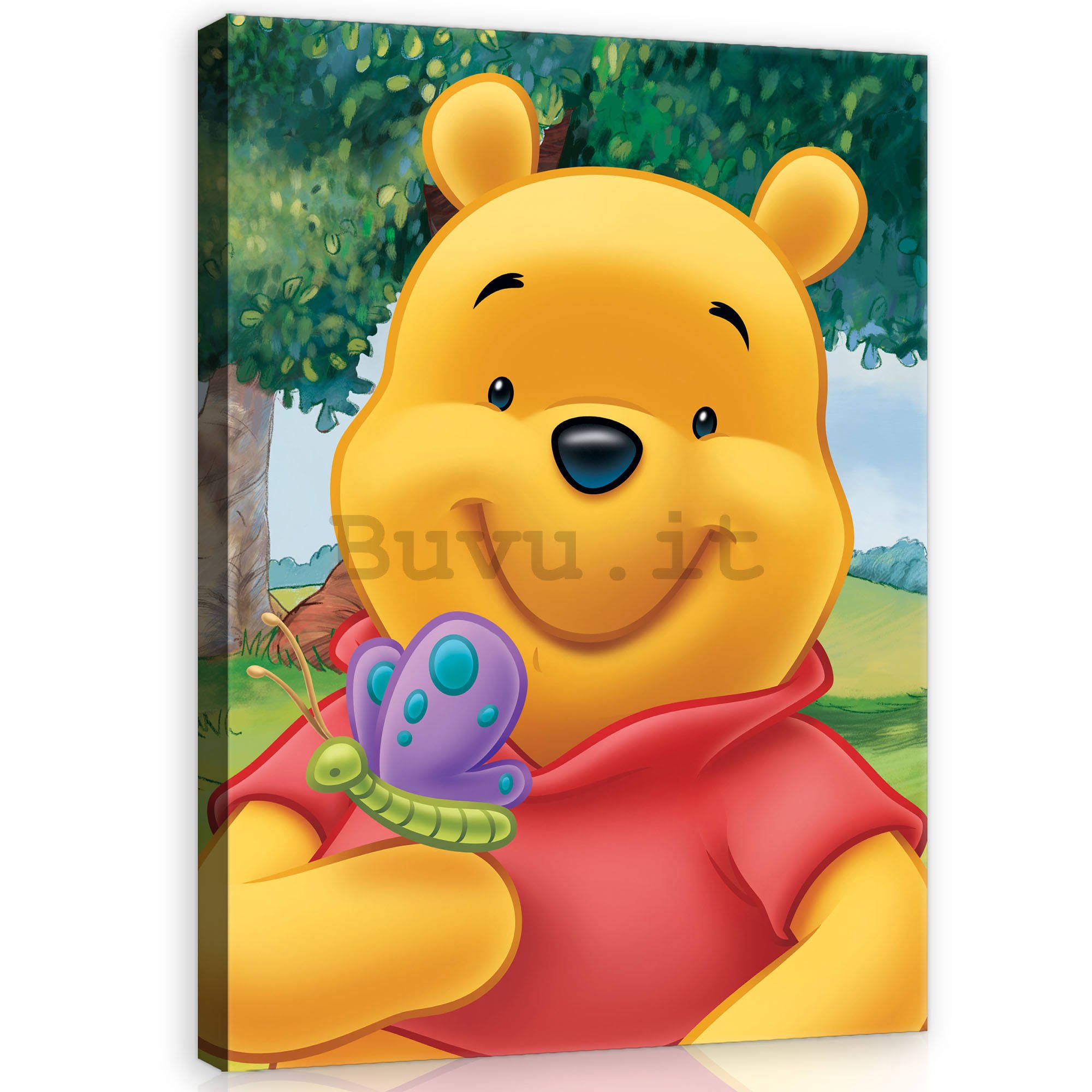 Quadro su tela: Winnie Pooh (Farfalla) - 75x100 cm