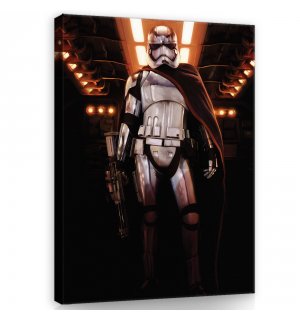 Quadro su tela: Star Wars Captain Phasma (1) - 60x80 cm