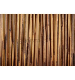 Fotomurale in TNT: Rivestimento in bambu - 200x140 cm