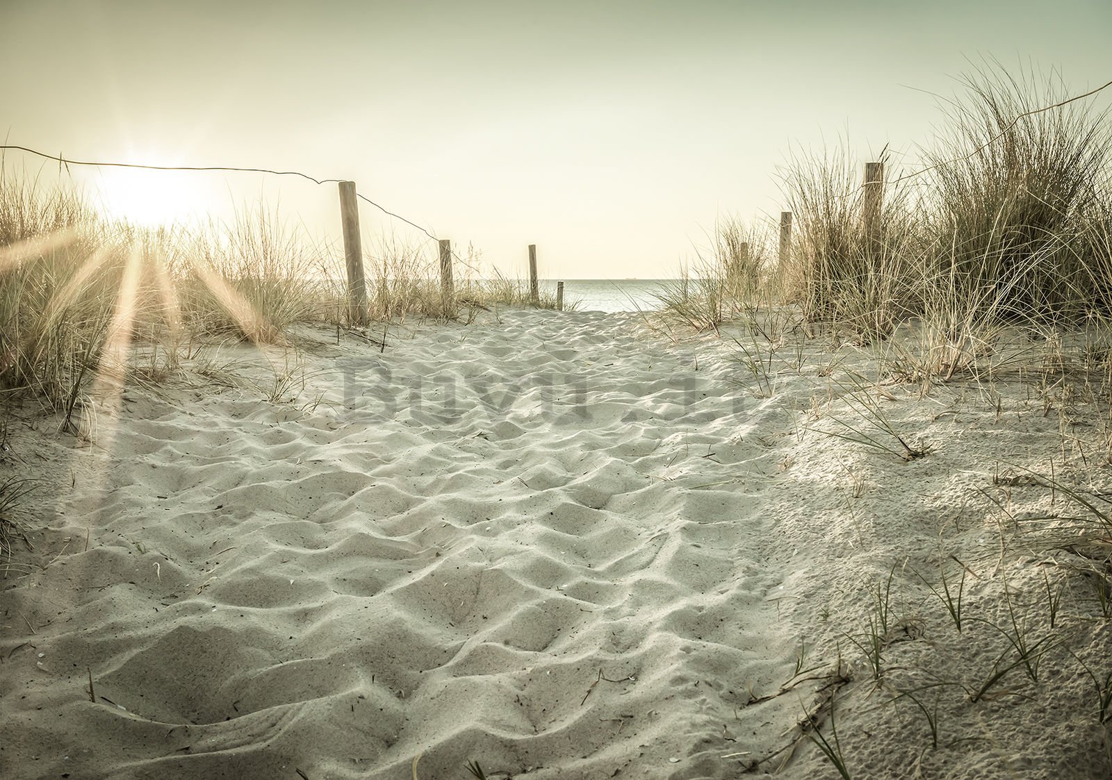 Fotomurale in TNT: Spiaggia di sabbia (3) - 104x70,5 cm