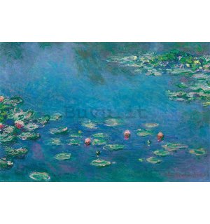Poster - Claude Monet, Ninfee