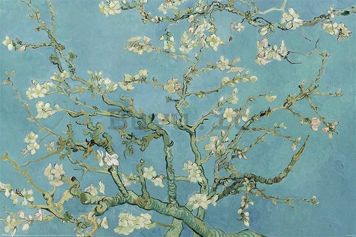 Poster - Van Gogh, Fiori di mandorlo