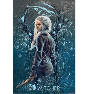 Poster - The Witcher (Ciri the Swallow)