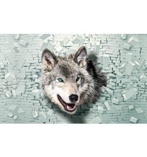 Fotomurale: Il lupo e il muro - 254x184 cm