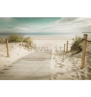 Fotomurale: Sentiero sulla spiaggia (10) - 368x254 cm