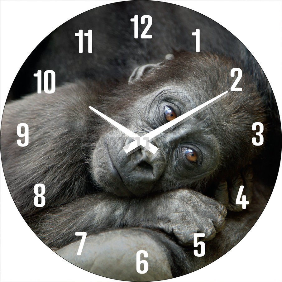 Orologio da parete in vetro: Un cucciolo di gorilla - 30 cm