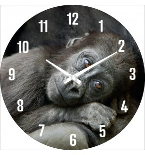 Orologio da parete in vetro: Un cucciolo di gorilla - 30 cm