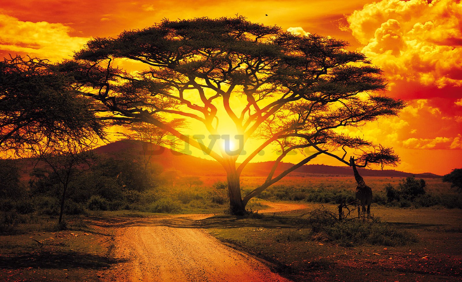 Fotomurale: Tramonto africano (1) - 368x254 cm