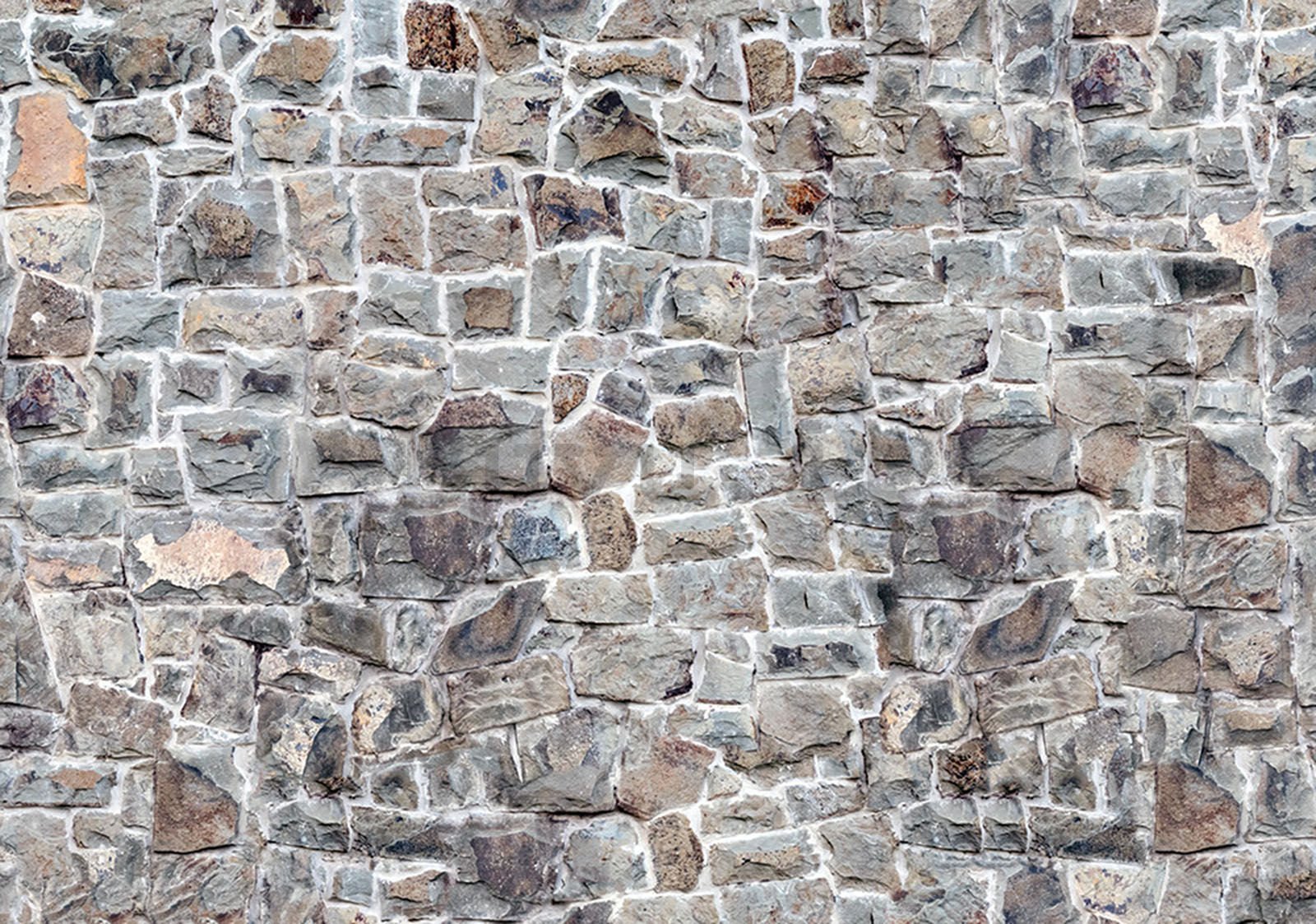Fotomurale in TNT: Muro di pietra (7) - 368x254 cm