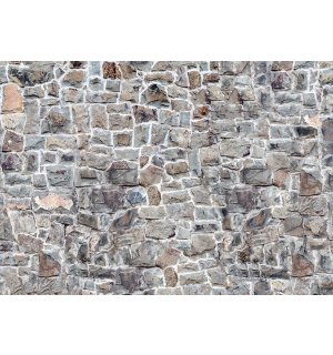 Fotomurale in TNT: Muro di pietra (7) - 368x254 cm