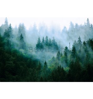 Fotomurale in TNT: Nebbia sul bosco (3) - 368x254 cm
