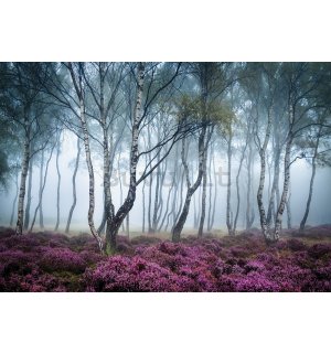 Fotomurale in TNT: La foresta misteriosa - 368x254 cm