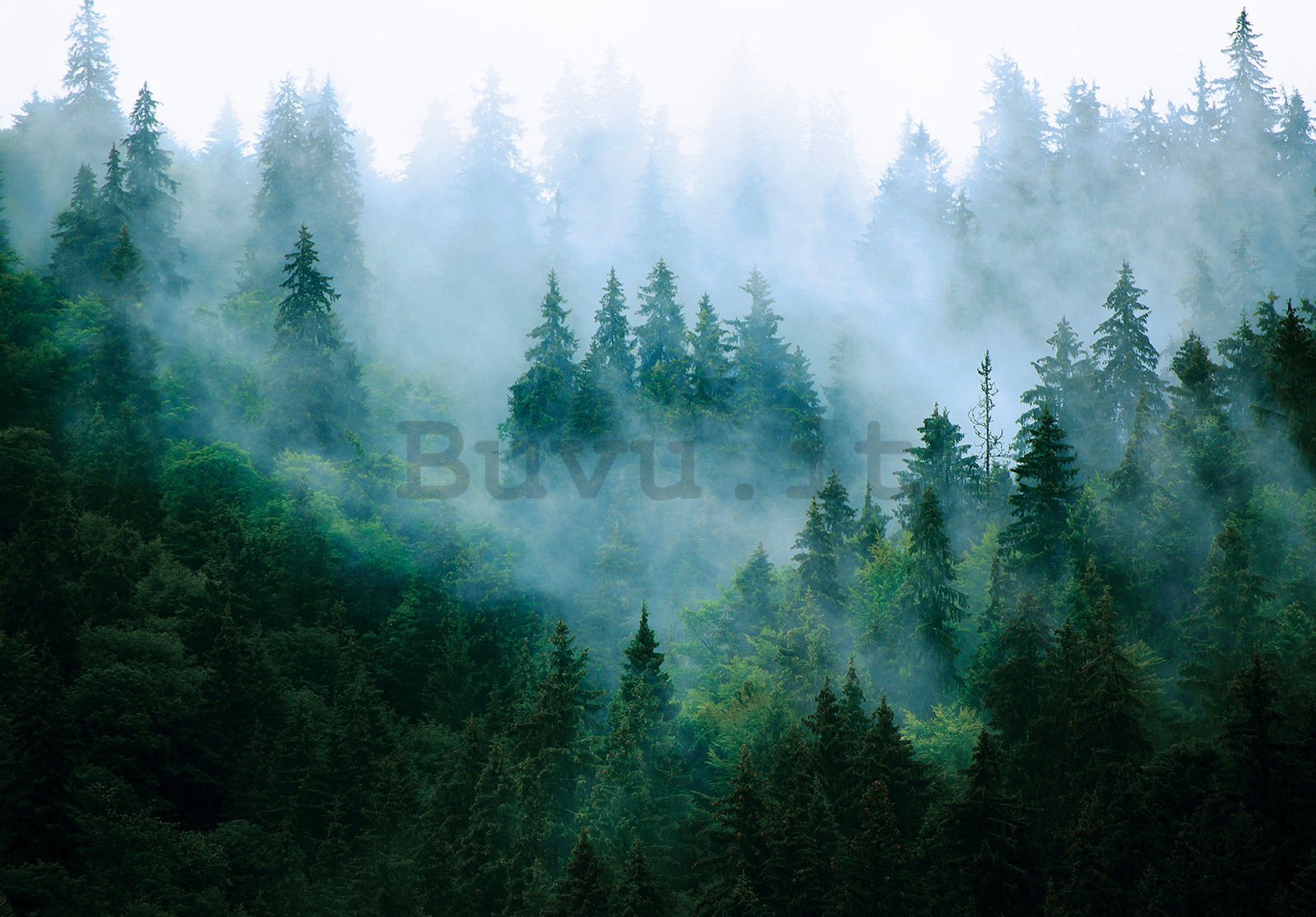 Fotomurale in TNT: Nebbia sul bosco (3) - 152,5x104 cm