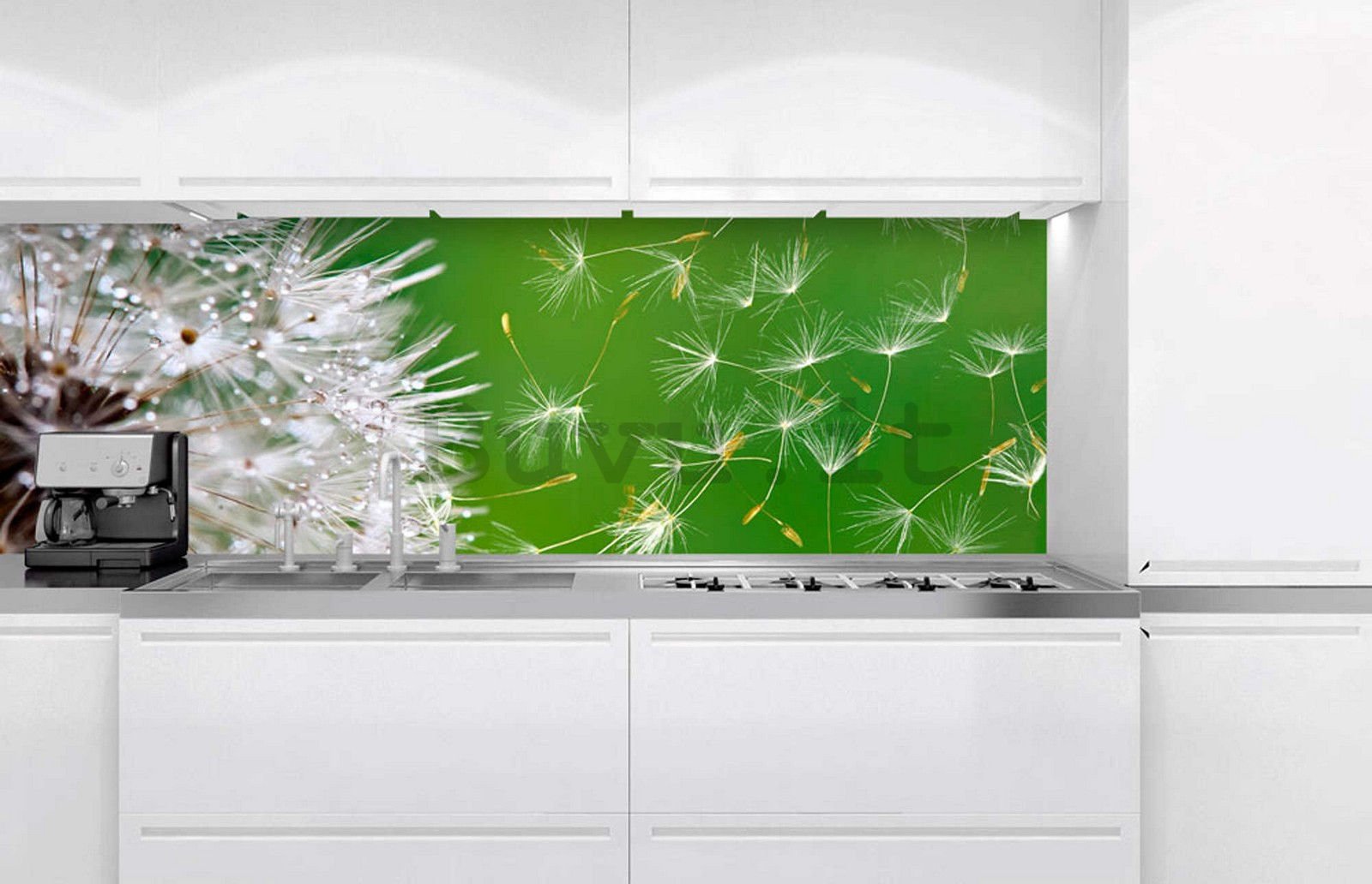 Fotomurale lavabile autoadesiva per cucina - Dente di leone, 180x60 cm