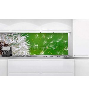 Fotomurale lavabile autoadesiva per cucina - Dente di leone, 180x60 cm